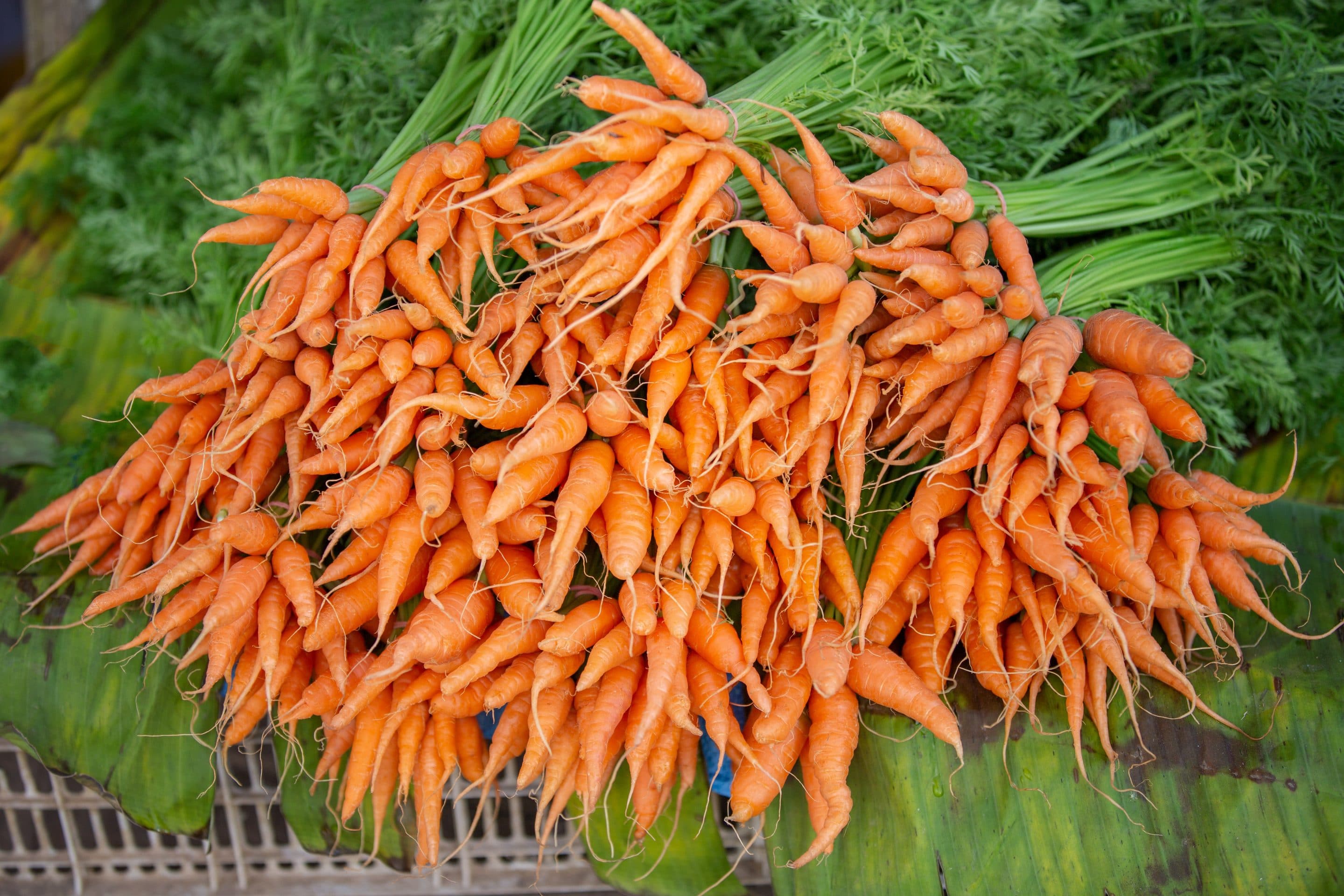 Beton aus Karotten 27 Karotten scaled