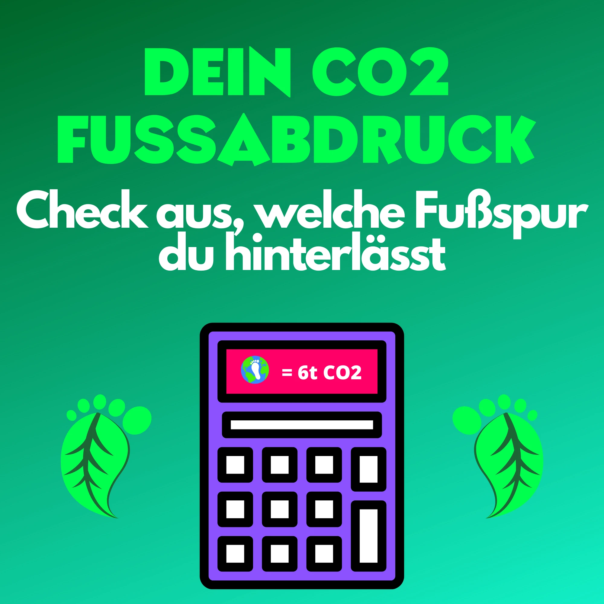 Home 4 CO2 FUSSABDRUCK